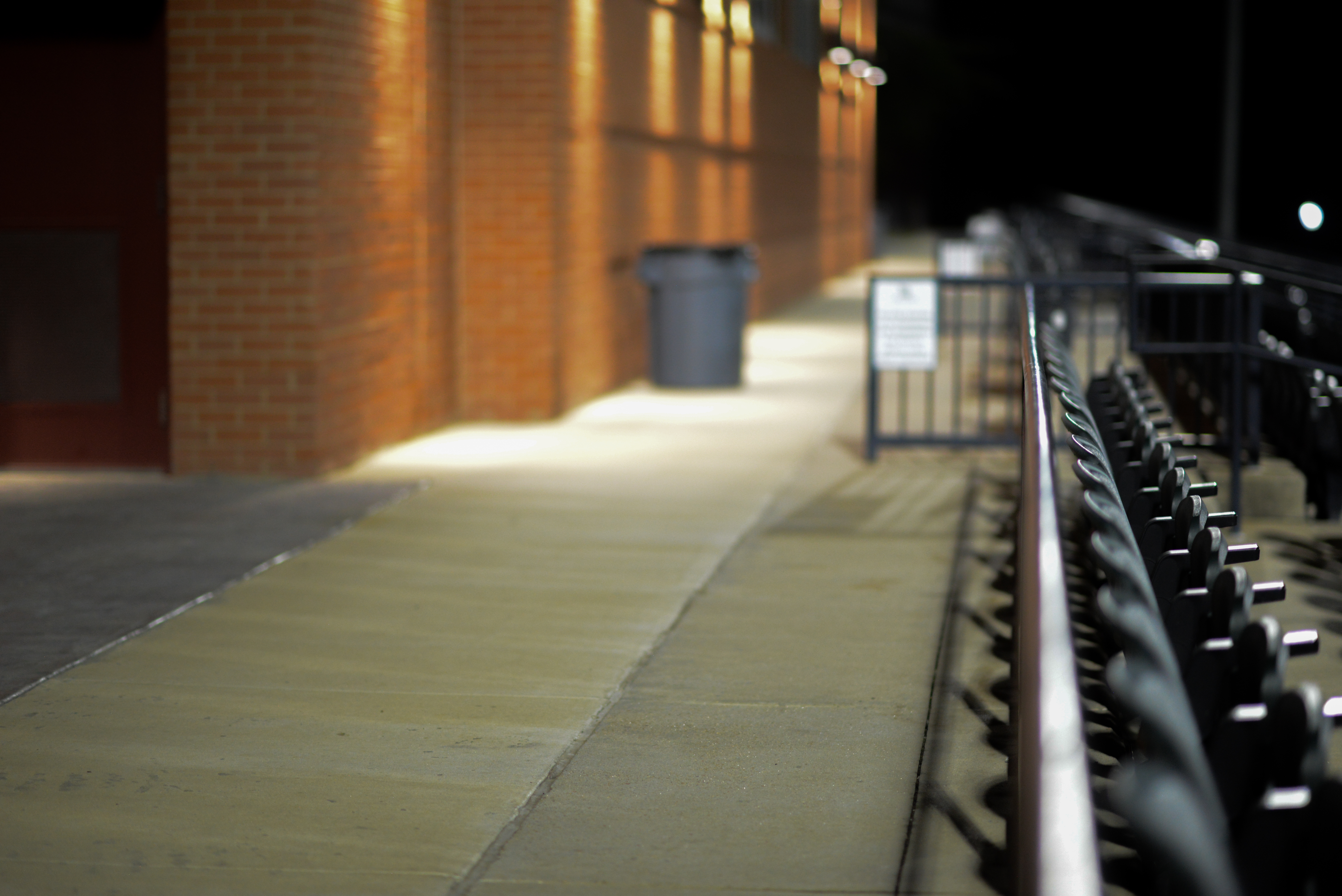 Lifestyle Portrait - Candid moments showcasing individual character