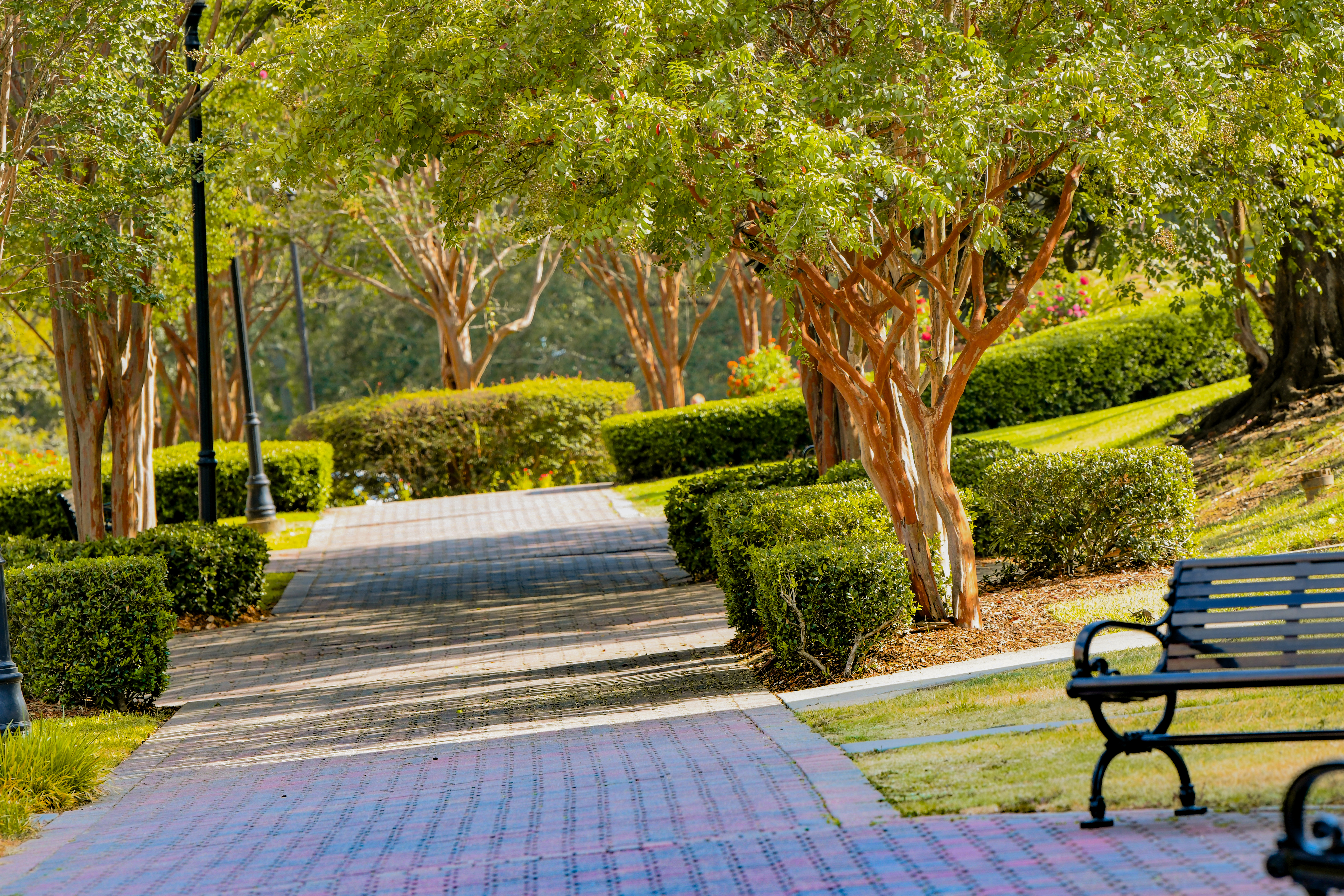 Professional Portrait Photography - Studio Session