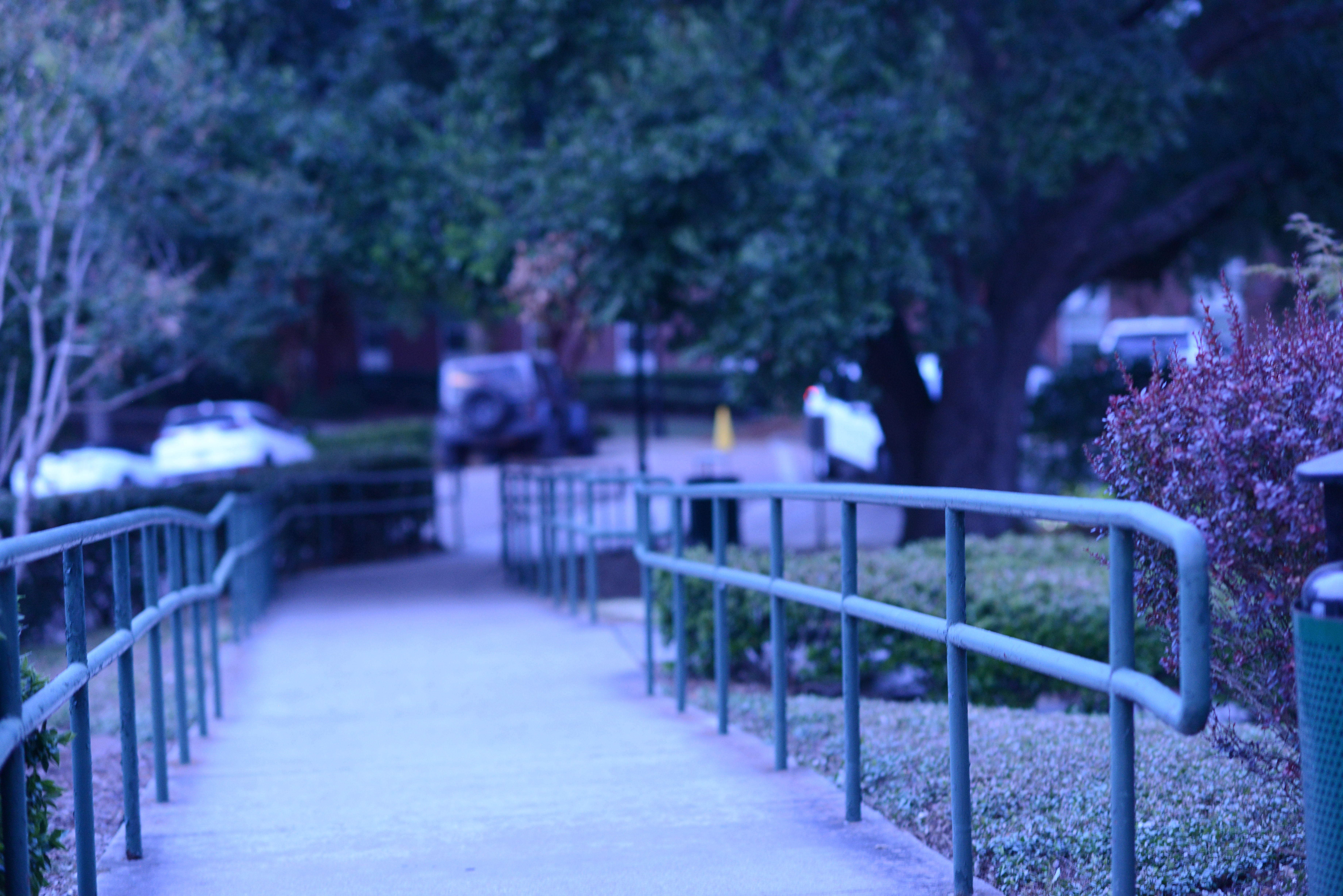 Victory Moments - Celebrating achievements and success